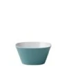 Mepal Schaal Conix 250 Ml Groen 2 Mepal Schaal Conix 250 Ml Groen -Outdoor Camping Winkel 43596 mepal schaal conix 250 ml nordic green